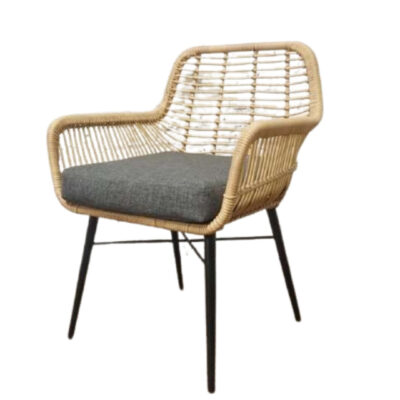 Emilio Dining Chair